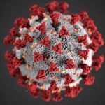 A 3D Image of Covid-19 virus.