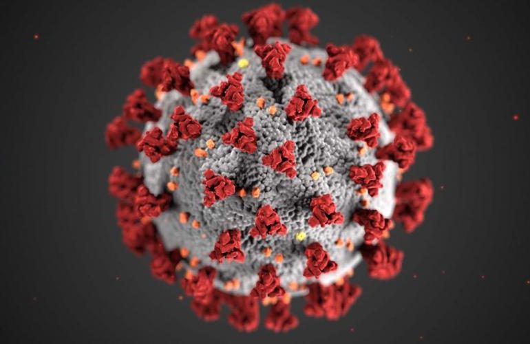 A 3D Image of Covid-19 virus.
